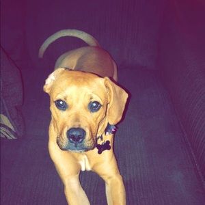 Meet your Posher, Paula